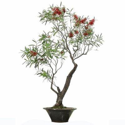 Bottle Brush (Red / White / Lavender)